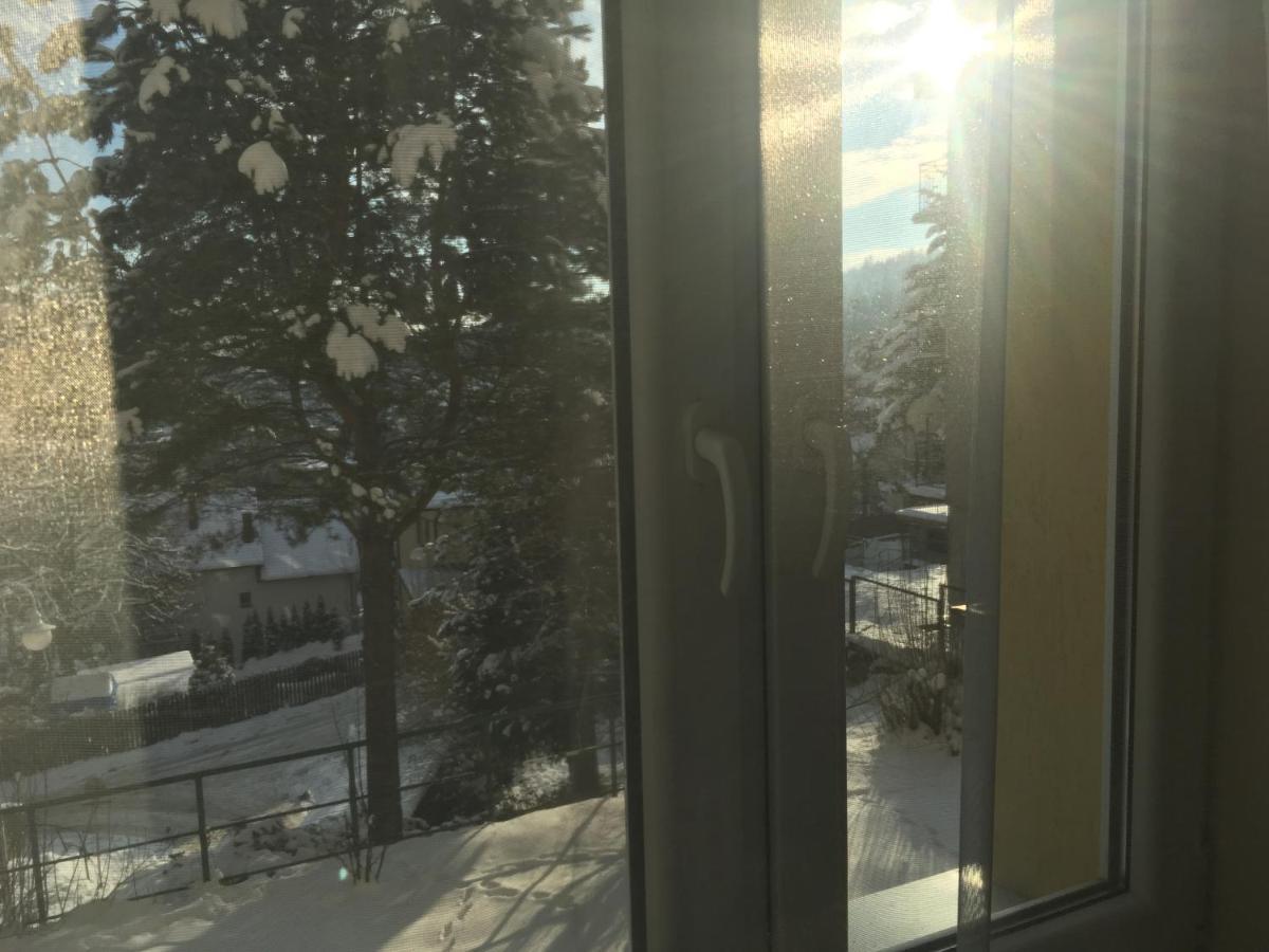 Mieszkanie "Panorama" Apartment Krynica Zdroj Bagian luar foto